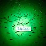 Eco friendly Inn