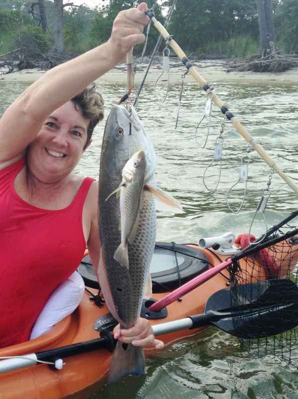 Guests caught large puppy drum from kayak.