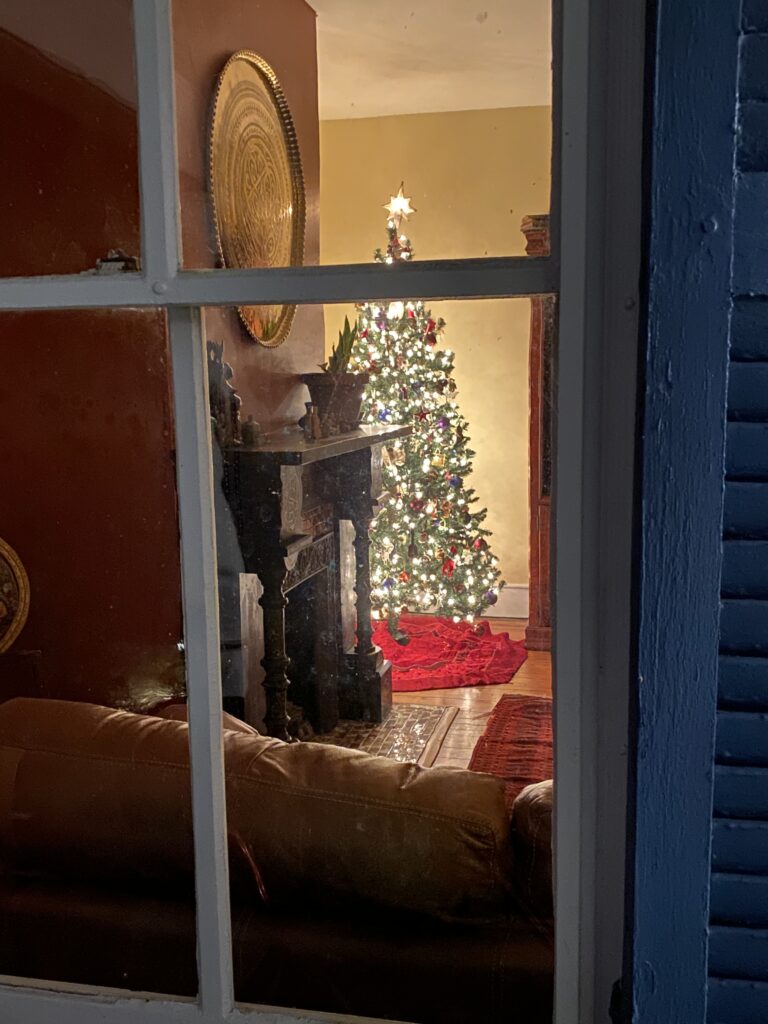 Christmas tree through the library window