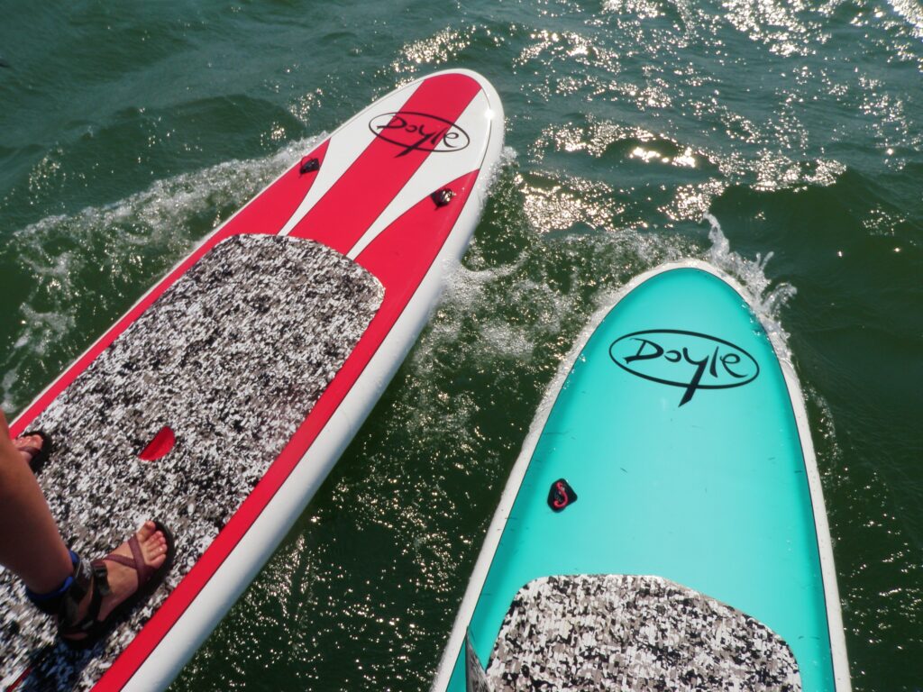 sup boards in water