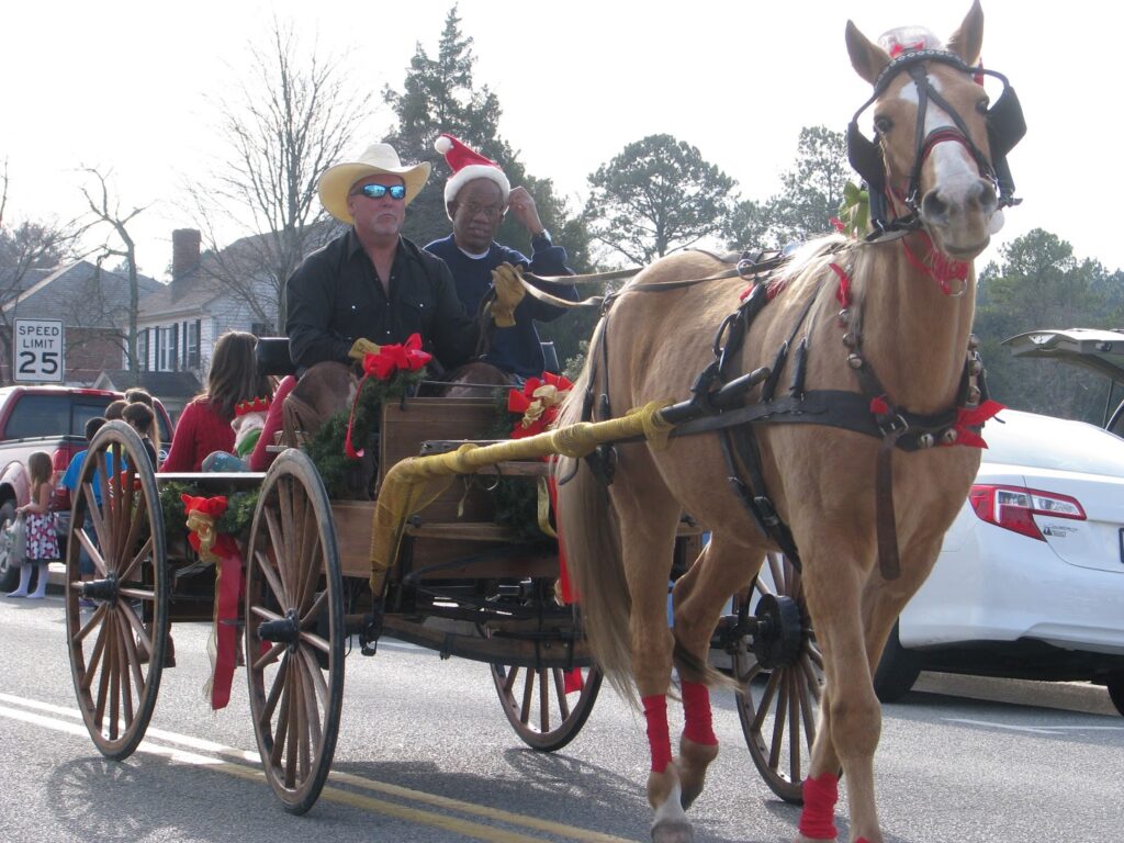 Horse and buggy in parade