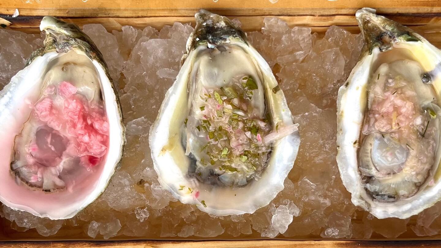 local oysters