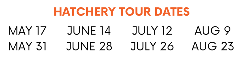 Hatchery tour dates