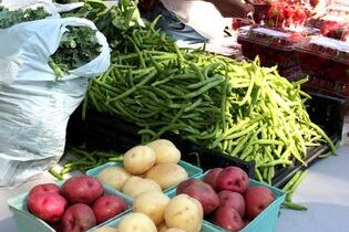 farmers market