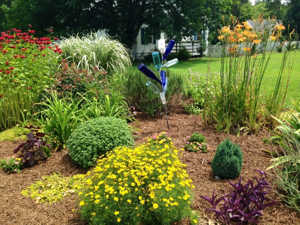 Our "bottle garden" here at the inn.