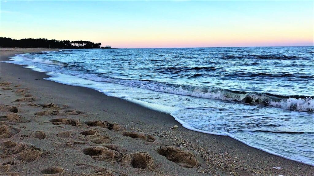 Bethel beach nature preserve