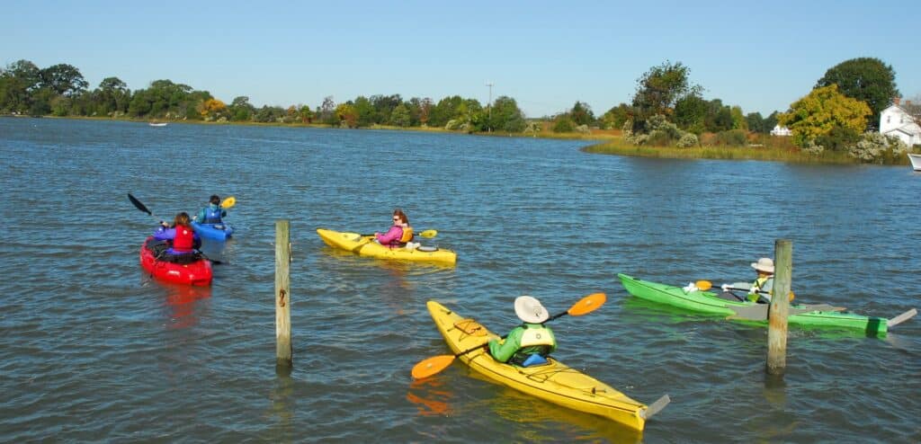 Group of kayakers