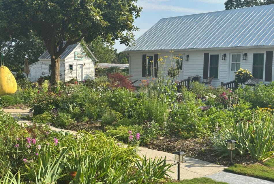 Exterior view of property painted white with teal shutters and front porch with white bench, white rocking chairs, and white bench swing