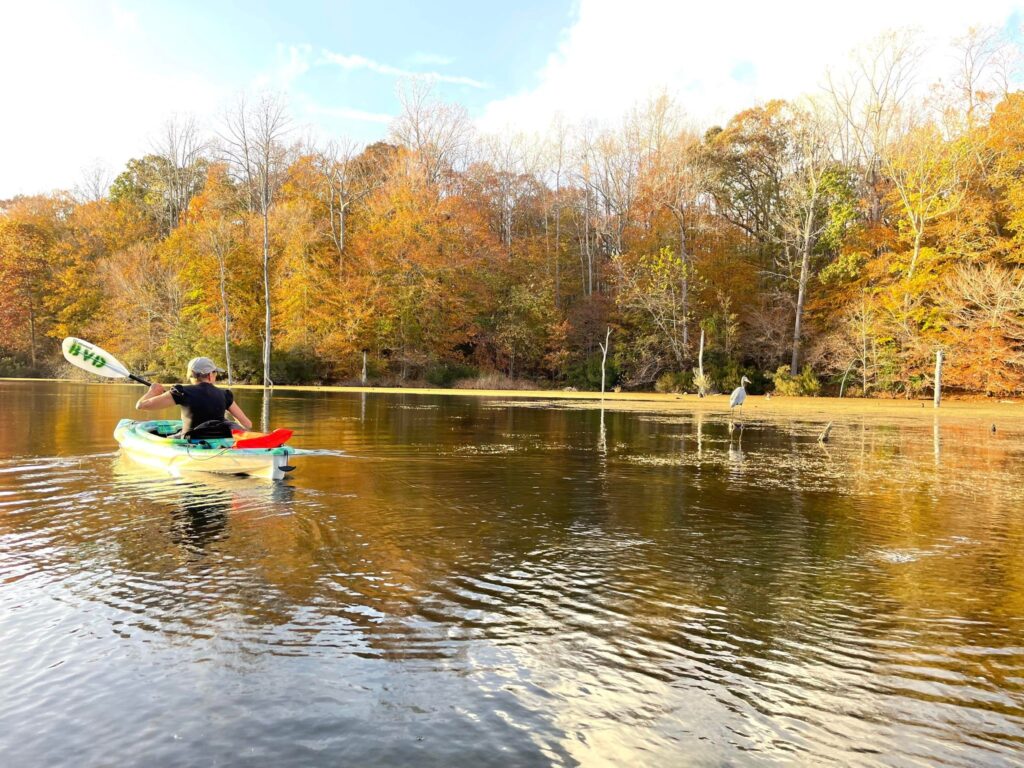 kayaker on Beaverdam Lake