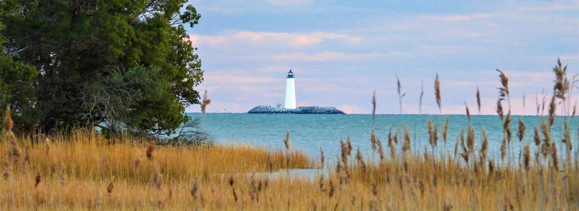 Yellow grass and green tree in the foreground with a white lighthouse surrounded by water in the background