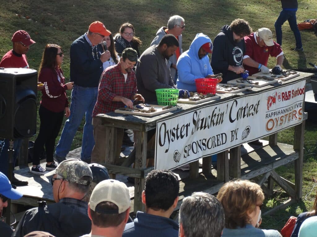 Oyster Shucking contestestants shucking oysters at the Urbanna Oyster Festival