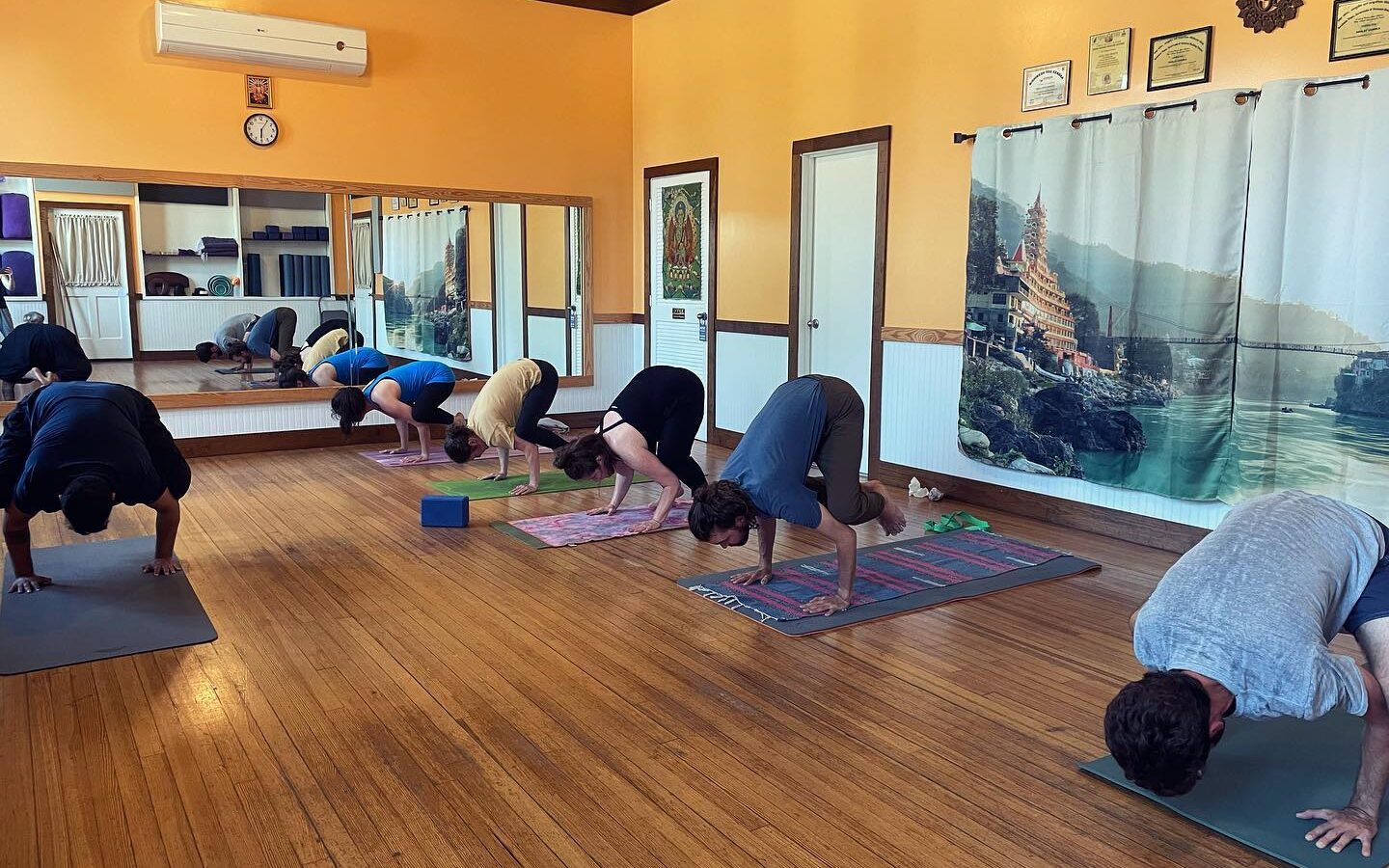 Rishi Yoga and Wellness Center