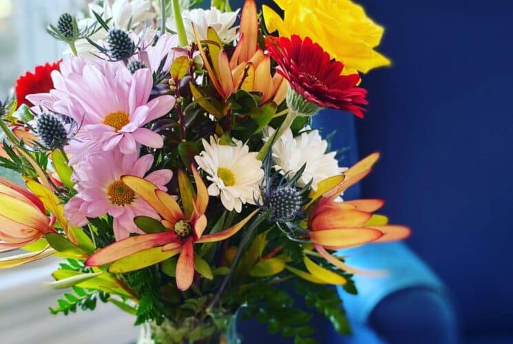 Close up view of colorful flower bouquet